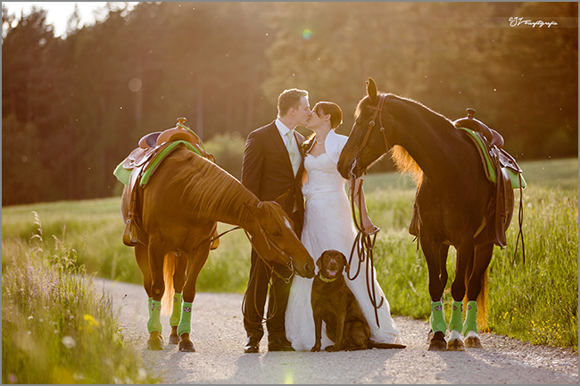 After-Wedding-Shooting mit Pferden und Hund